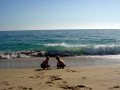 Looking for seashells in Newport's Wedge